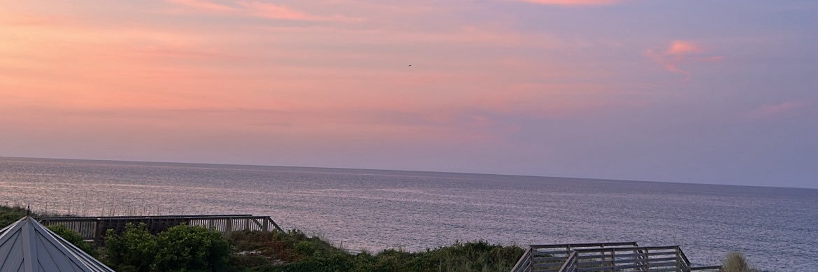 RaeganDoan's profile banner image