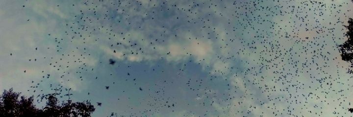 _qmma_'s profile banner image