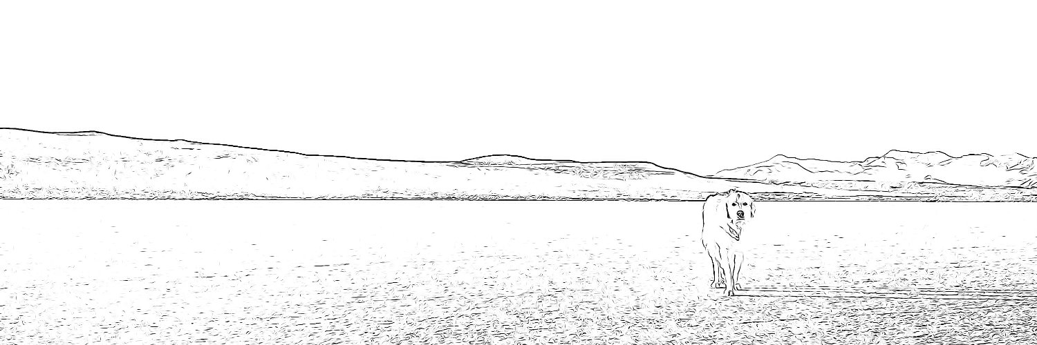 chelscanon's profile banner image