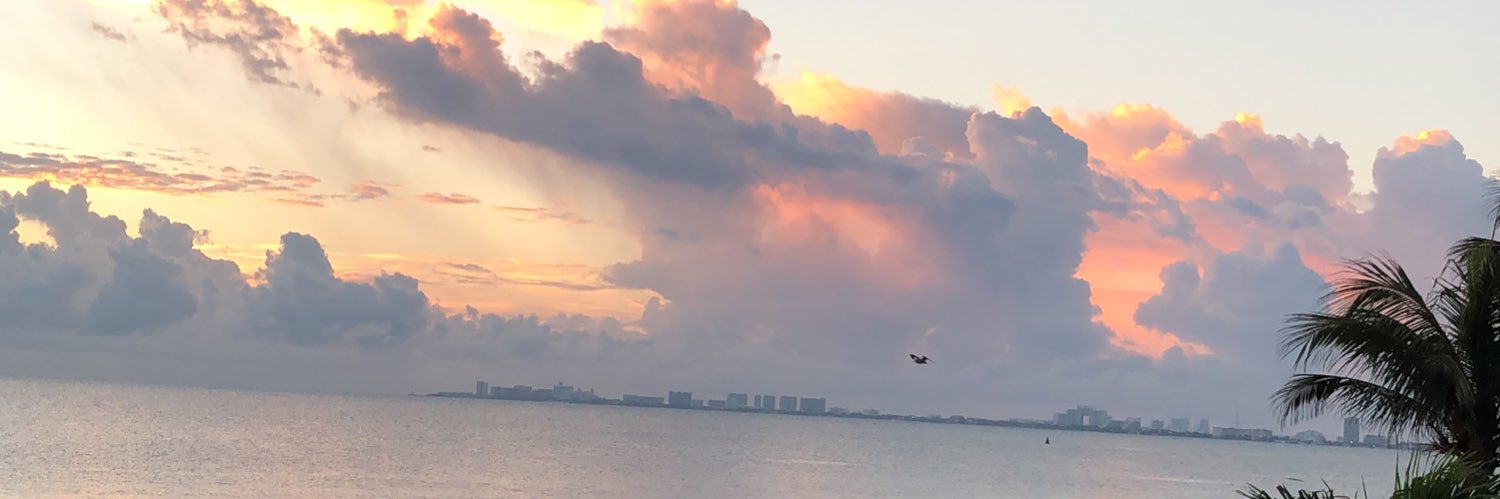 SweetFlowerJe's profile banner image