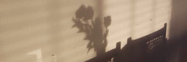 notthatblurry's profile banner image