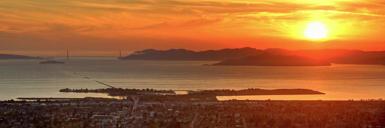 BerkeleyCulture's profile banner image