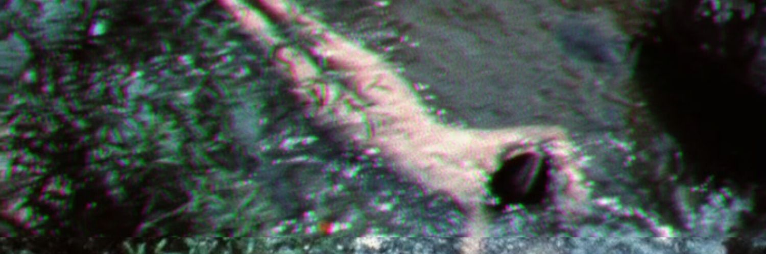 pascalxlamb's profile banner image