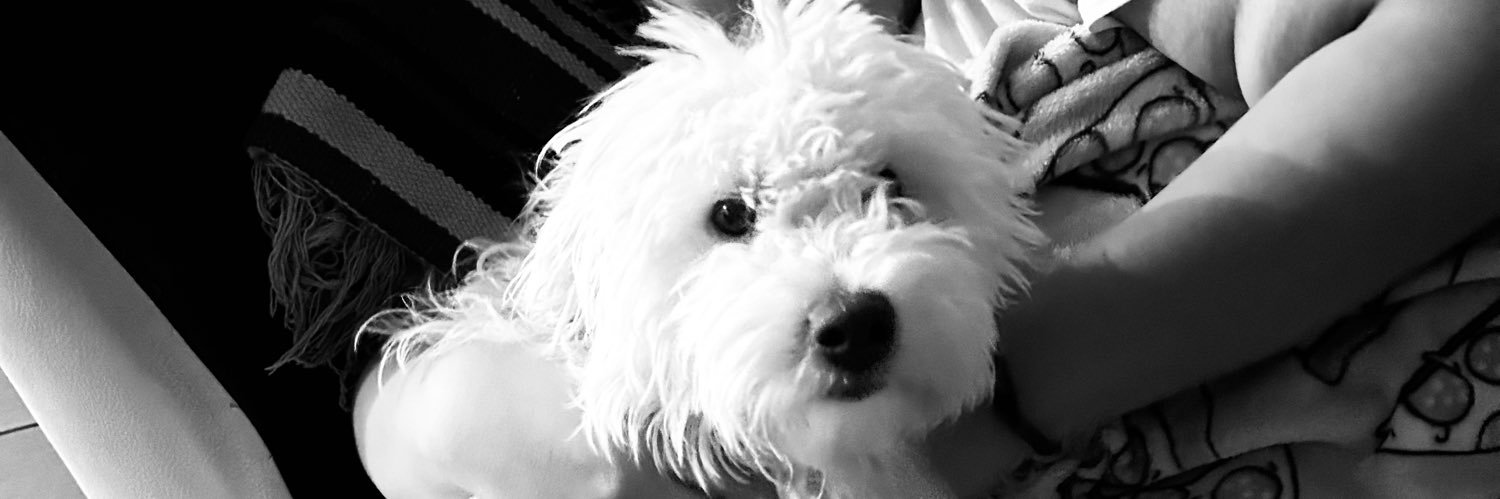 * banner