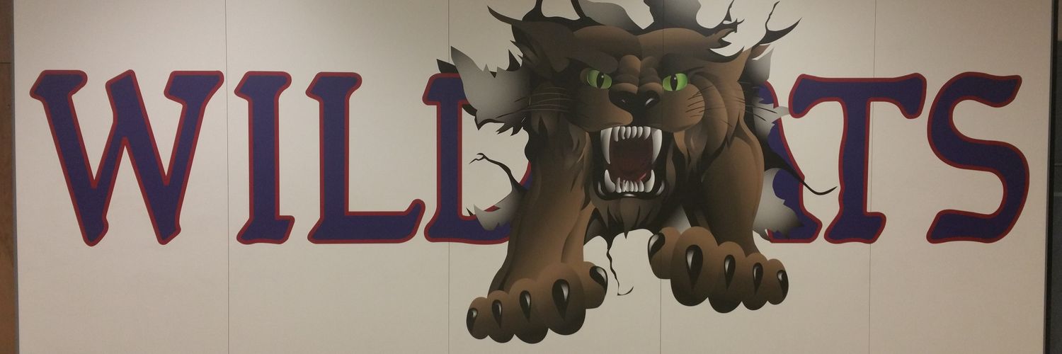 Wildcat Basketball banner