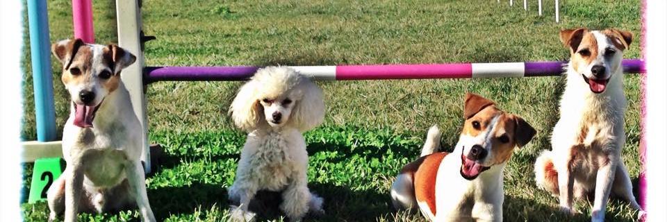 speedy_jrt's profile banner image