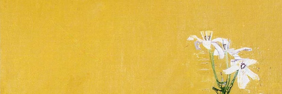 afloreanausea's profile banner image