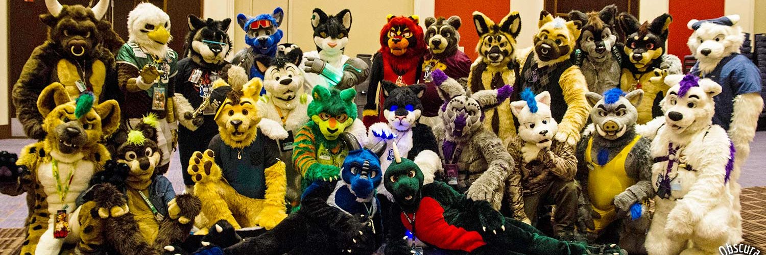 Roofur's profile banner image