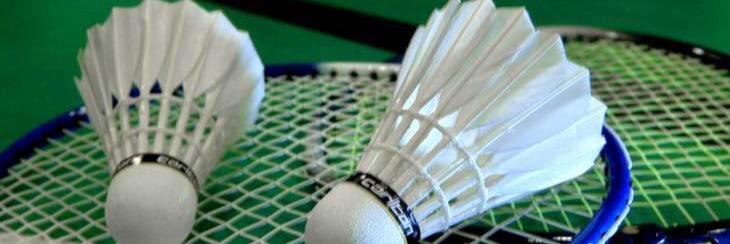 KingBadminton's profile banner image