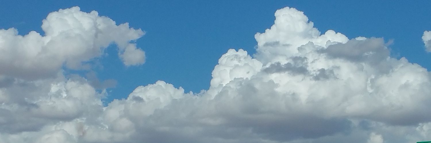 Michelle Saenz banner