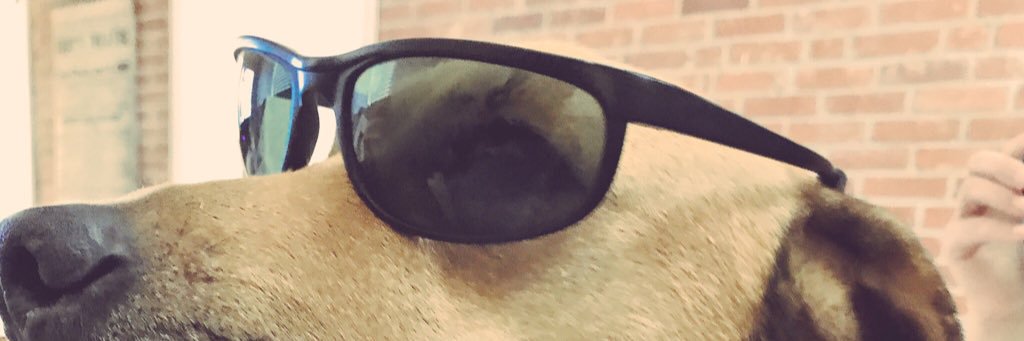 Buddy7514's profile banner image