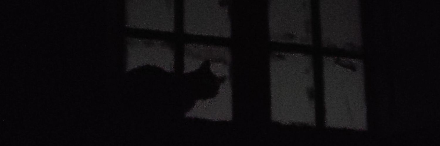 VeronicaCorpse's profile banner image