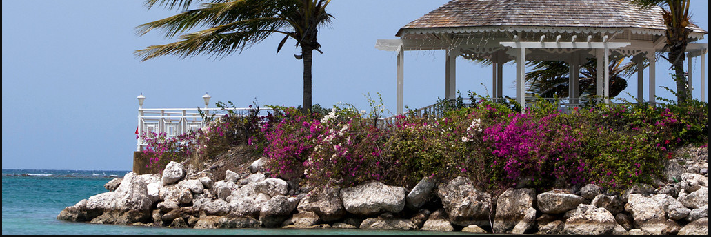 Mishi_Replogle's profile banner image