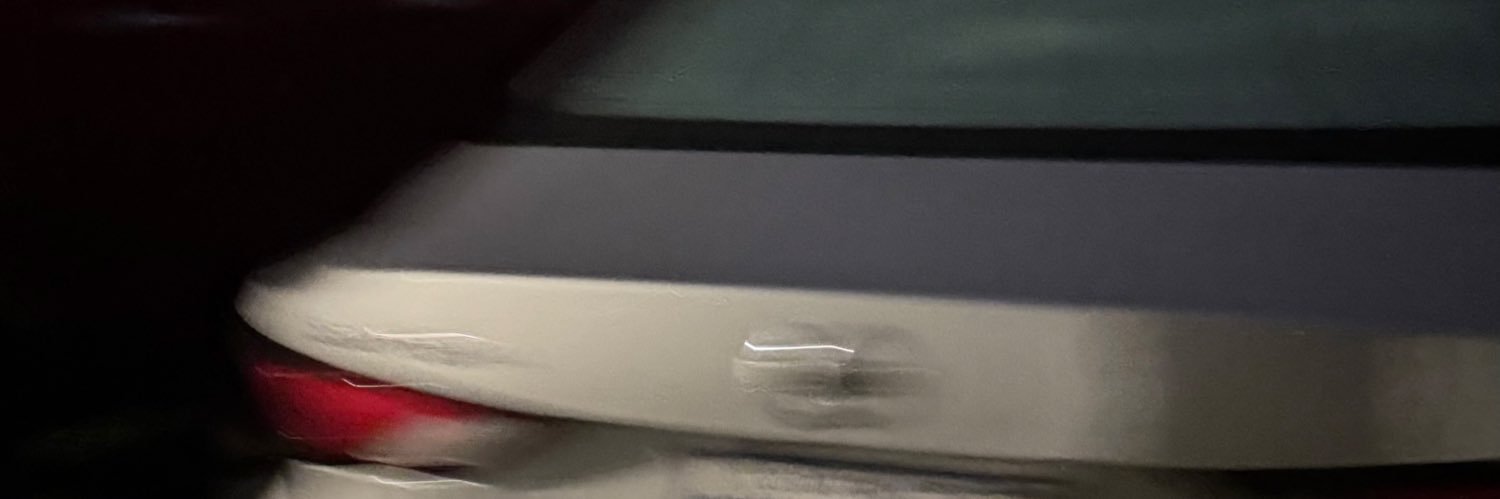 saintfioree's profile banner image