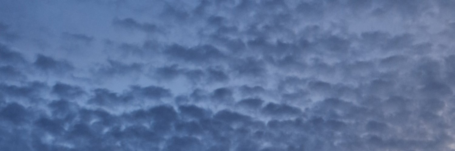 dashaamt's profile banner image