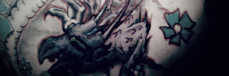 sara_tribula's profile banner image