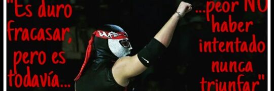 shine55230's profile banner image