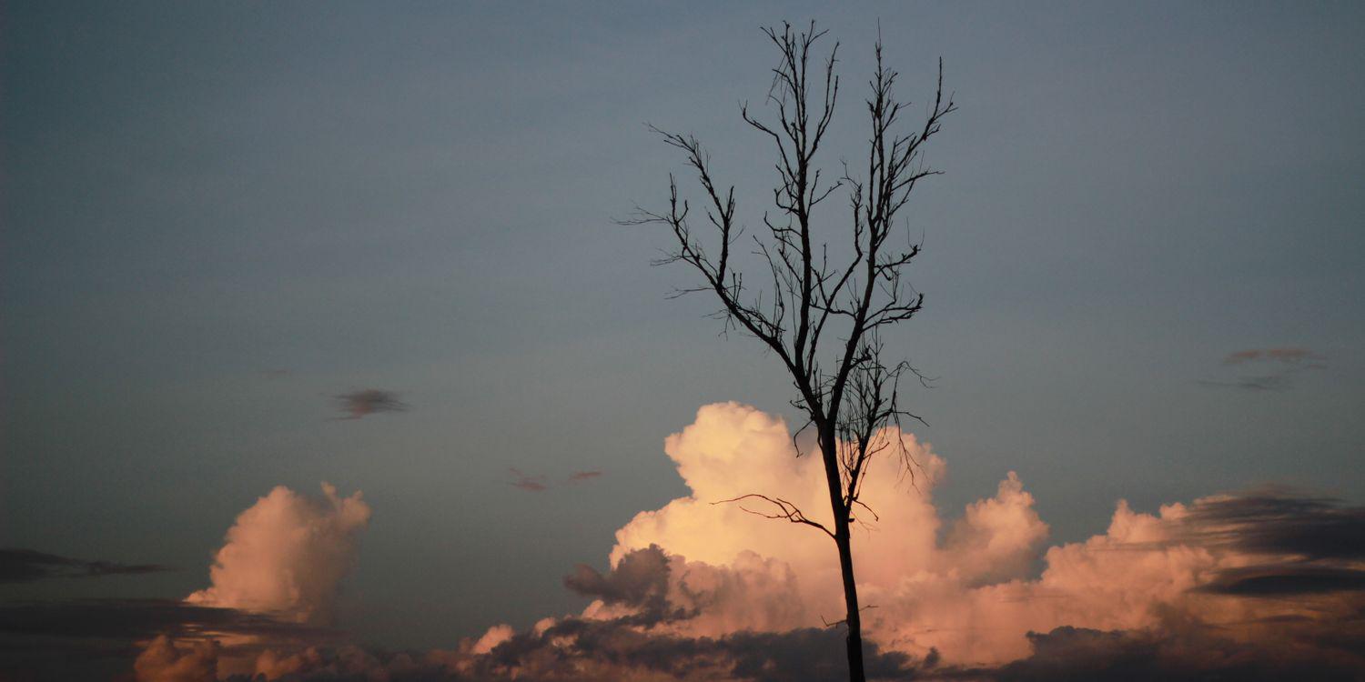 Erick Fernandez banner