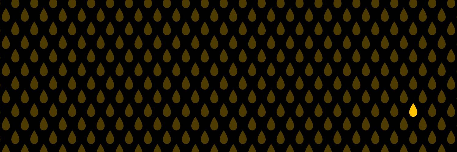 vanpours's profile banner image