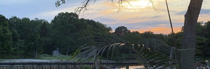 Lisa LaPlante banner