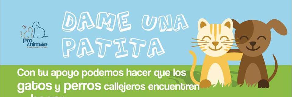 FunProAnimales's profile banner image
