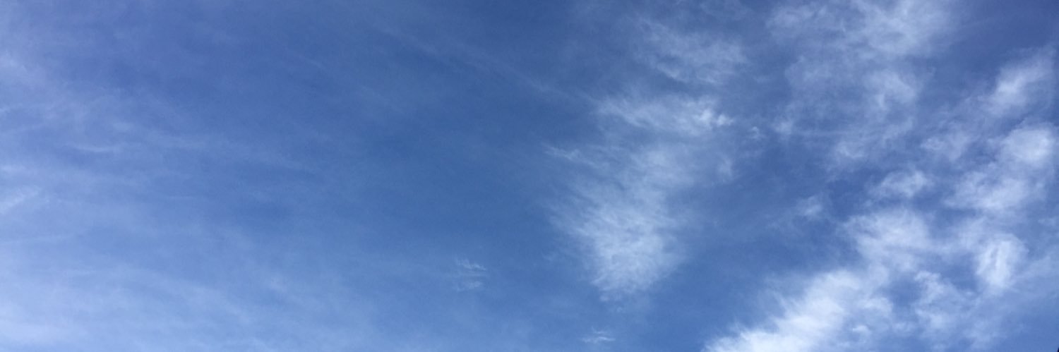 minttrj's profile banner image