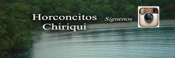 HorconcitosCh's profile banner image