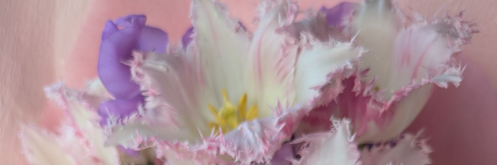 m03ki13's profile banner image
