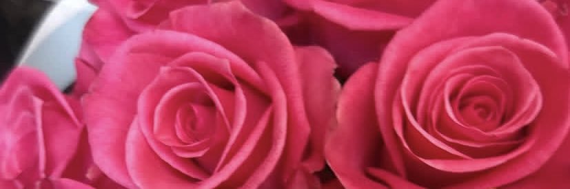 maarmaar_'s profile banner image