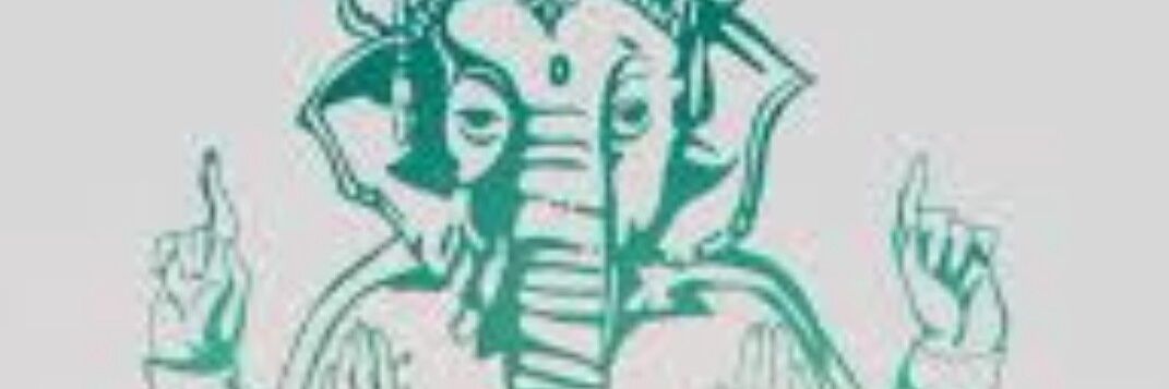luzindiraaa's profile banner image