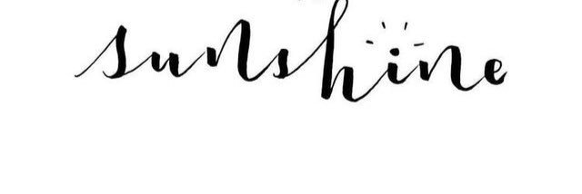 mag_curtin's profile banner image