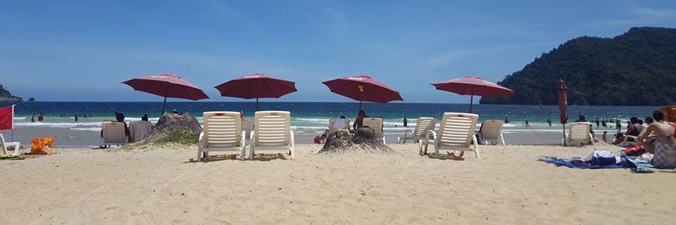 Faine Richards banner