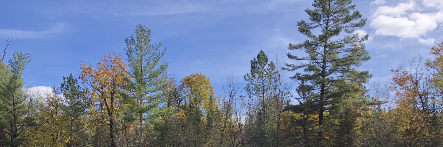 nat banner