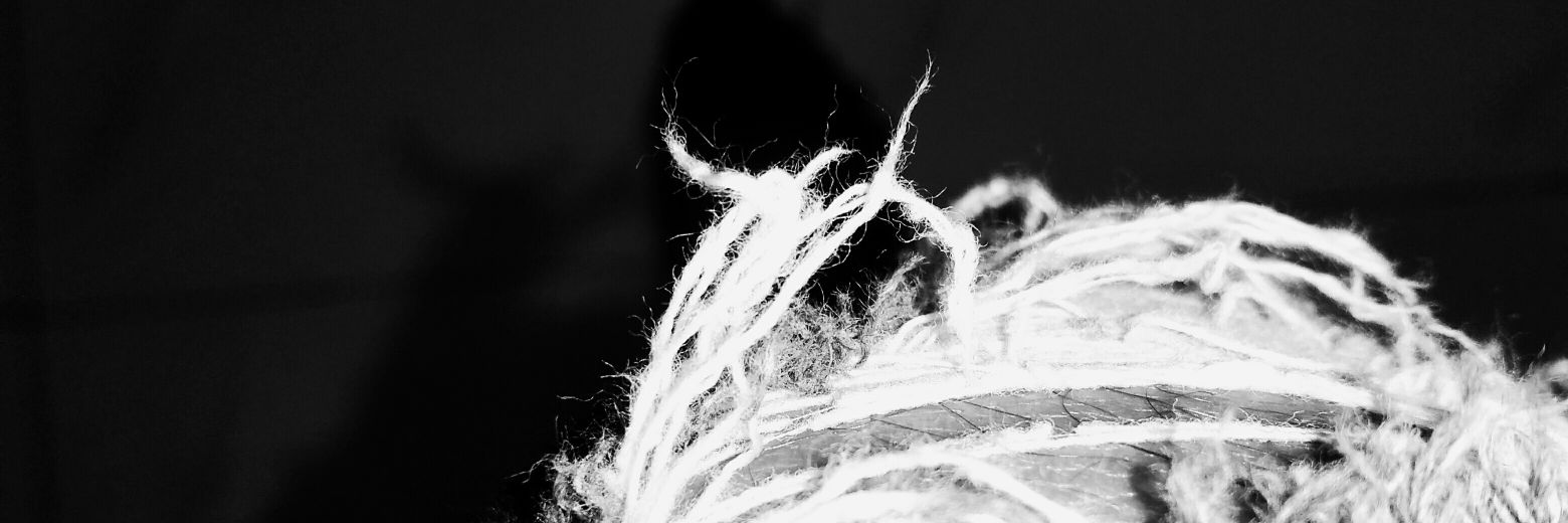27Ragnar_BTC's profile banner image