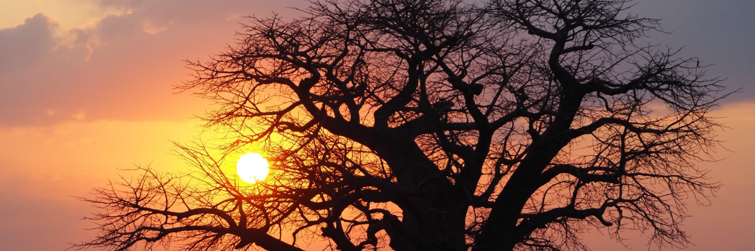 Stephanie J. Monroe banner