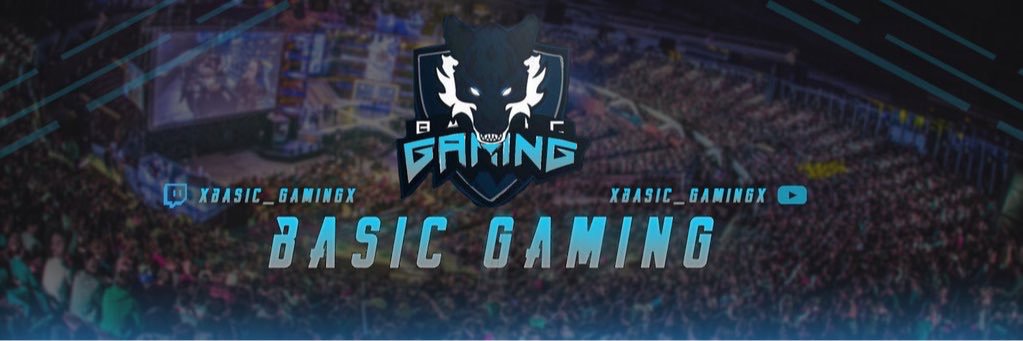 xBasic_Gamingx's profile banner image