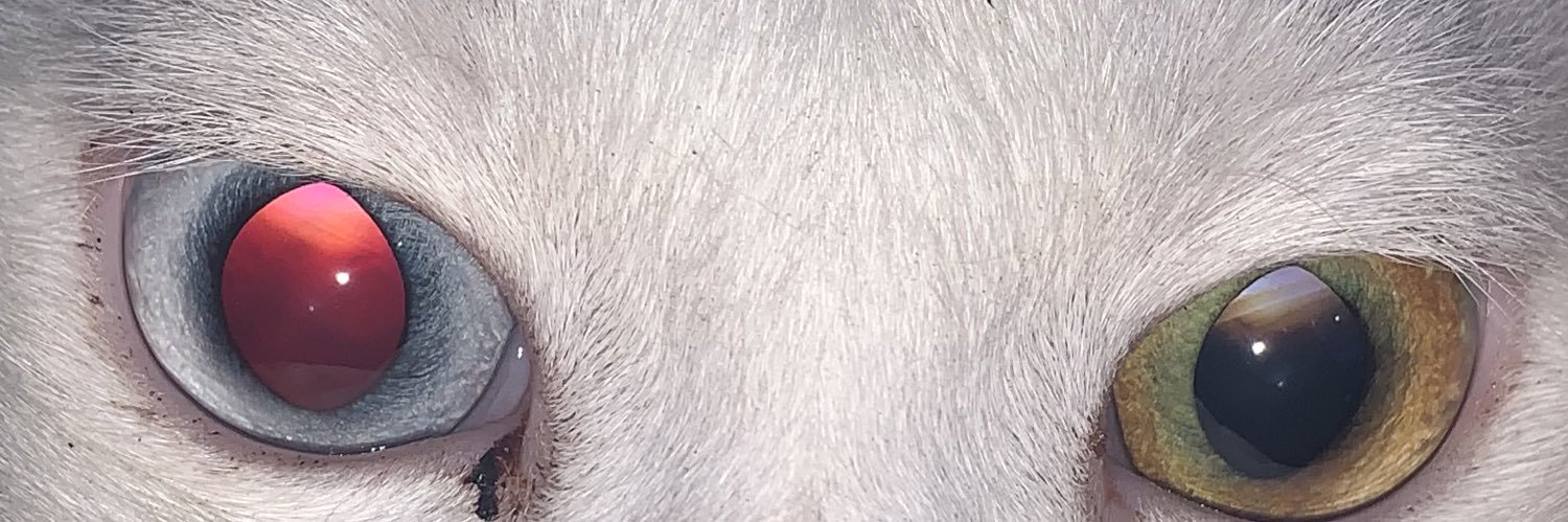 Qkiik's profile banner image