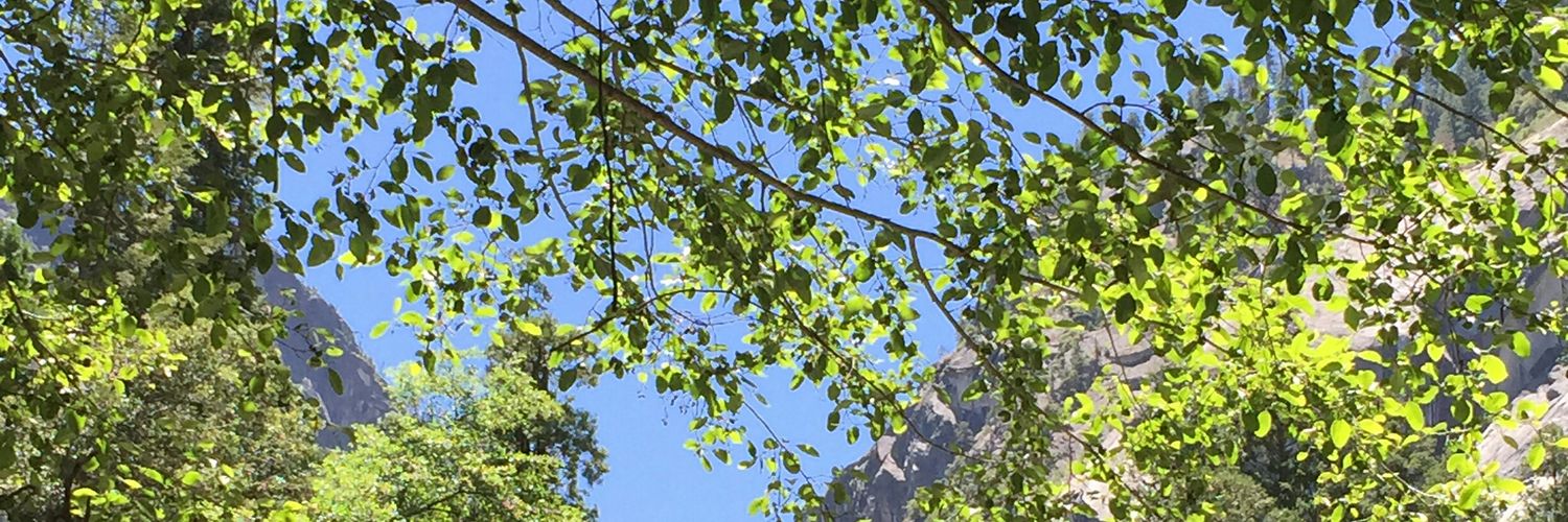 graceewang's profile banner image