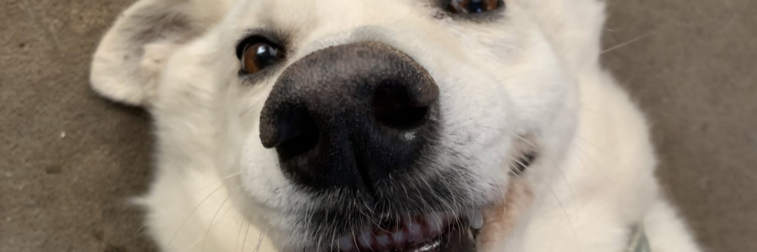 camyrenantu's profile banner image