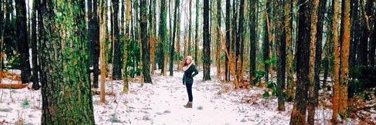 abby_harmony's profile banner image