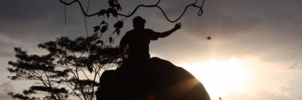 david_swannell's profile banner image