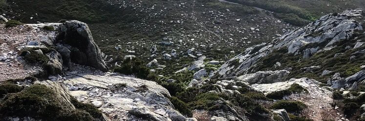 DaveyHLyle's profile banner image