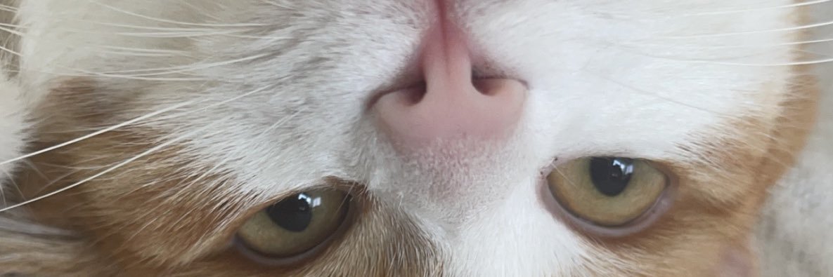 AlmoldaArthur's profile banner image