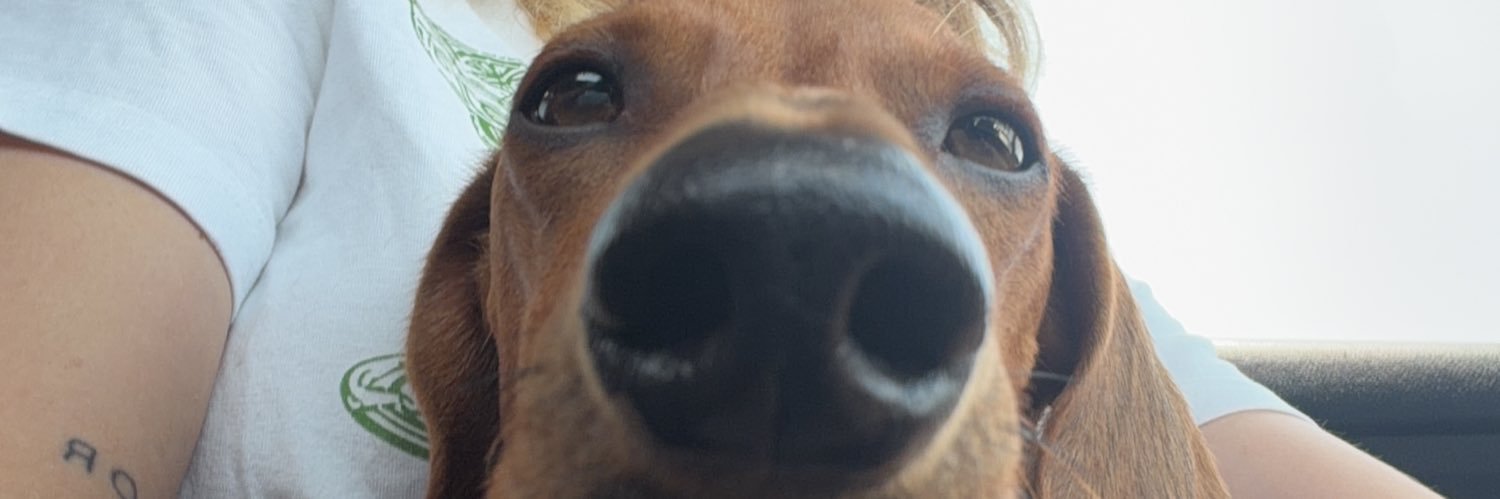 sopavips's profile banner image