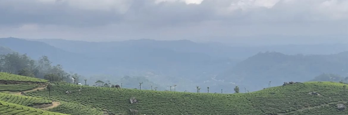 kashish_162's profile banner image