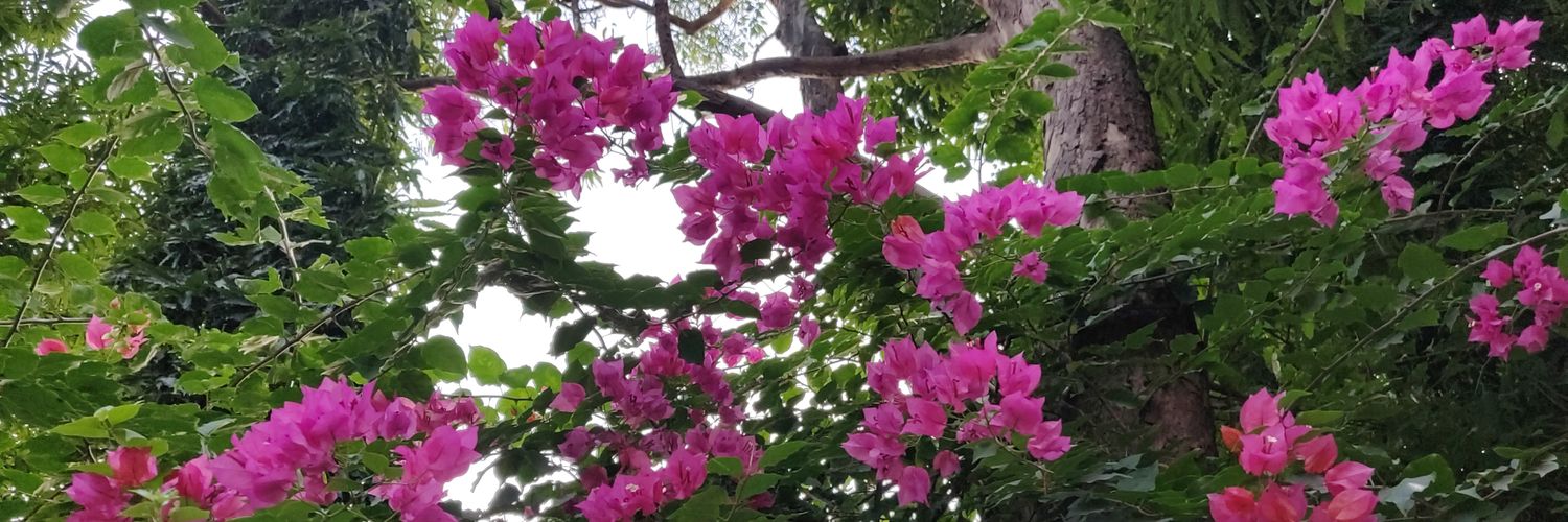 mitsydeshpande's profile banner image