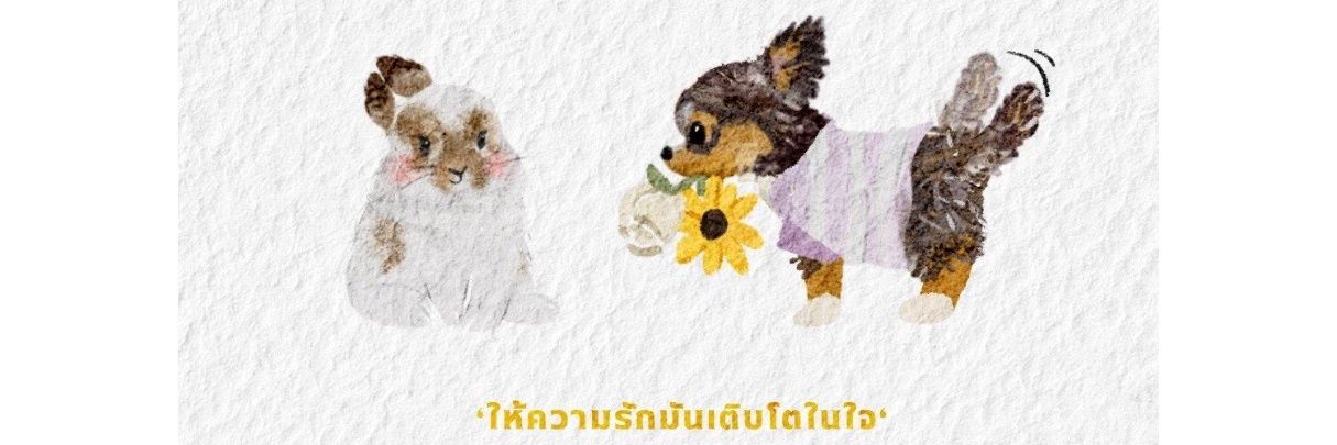 antilka39's profile banner image