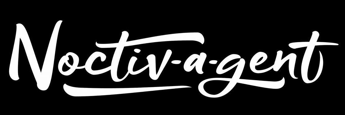 Noctivagent's profile banner image