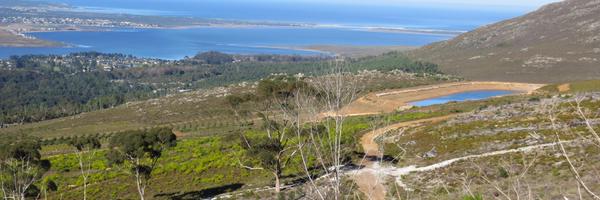 honingklip Profile Banner