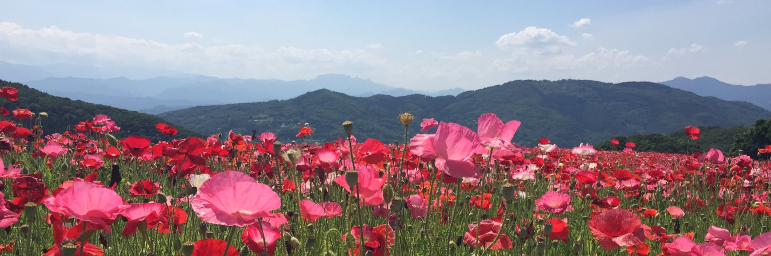 umasuda's profile banner image